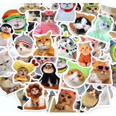Set 50 Stickers Memes de Gatitos | Stickers Decorativos